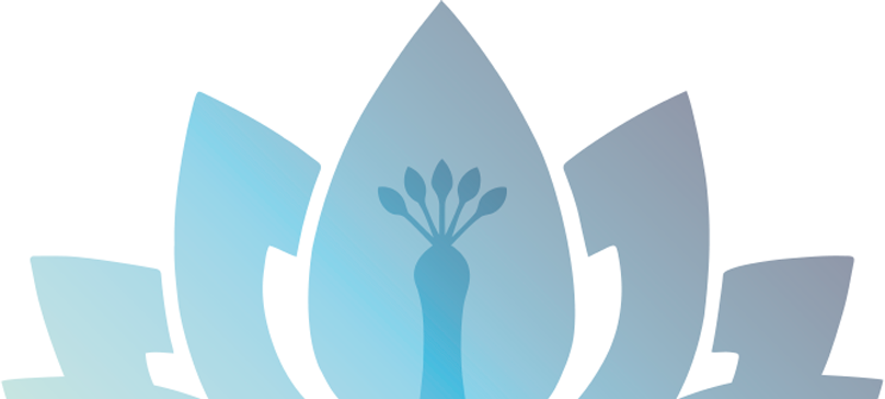 promo selector indicator